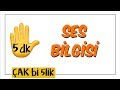 5 dk'da Ses Bilgisi | Çak Bi 5lik