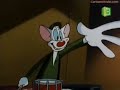 Animaniacs Pinky And The Brain Intro General Brain Arabic MBC 3 Airing 