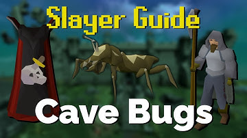 Cave Bugs Slayer Quick Guide OSRS
