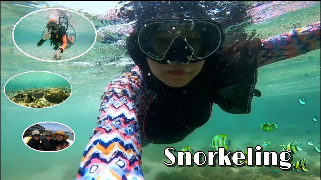 Snorkeling Experience in Jeddah ksa Scuba Diving YouTube