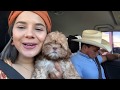 vlog familiar 8 La Camioneta - El Charro y La Mayrita (Vlog)