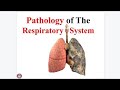 Respiratory pathology (physical examination) lecture no 8