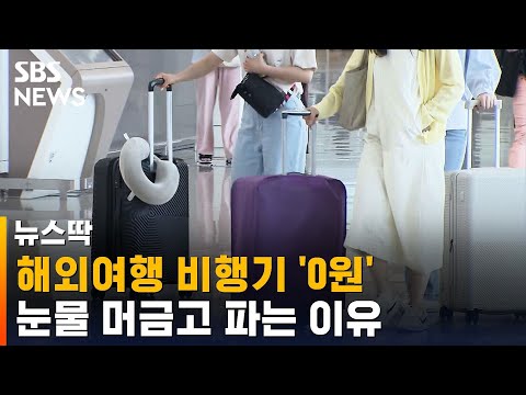 해외여행 비행기 '0원'…눈물 머금고 파는 이유 / SBS / 뉴스딱