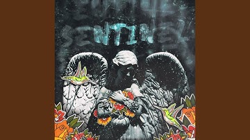 Sentinel (feat. mzmo)