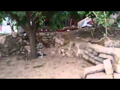 تجمع إخلاص مشروع الأضاحي 10 ذي الحجة 1433 2