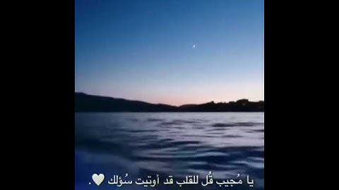 حالات واتس||القارئ/احمد خضر||سورة/الجاثية||تصاميم قران||انستقرام||استوري||مقاطع قصيرة