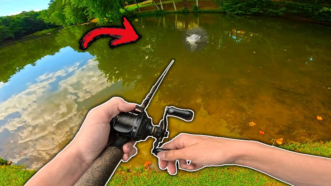 EPIC TOPWATER Fishing for GIANT BASS! (BIG FISH)