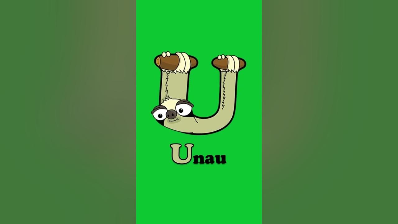 Animals that start with U - Umbrellabird, Unicorn, Unau, Urchin, Urial