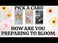 PICK A CARD 🔮 What Aspects Of Your Personality & Life Are Preparing To Bloom 🌹 What Is Shifting 🌱