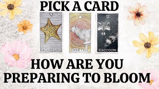 PICK A CARD 🔮 What Aspects Of Your Personality & Life Are Preparing To Bloom 🌹 What Is Shifting 🌱