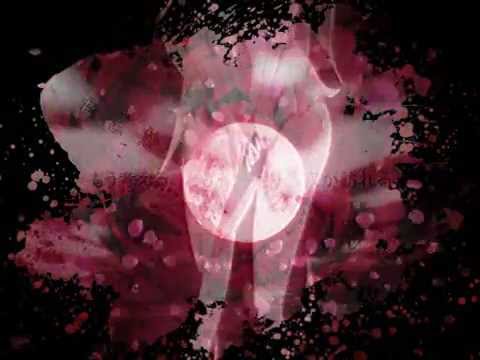 【初音ミク】 慟哭の果てに咲いた花 - 流血メロディックP 【オリジナル】