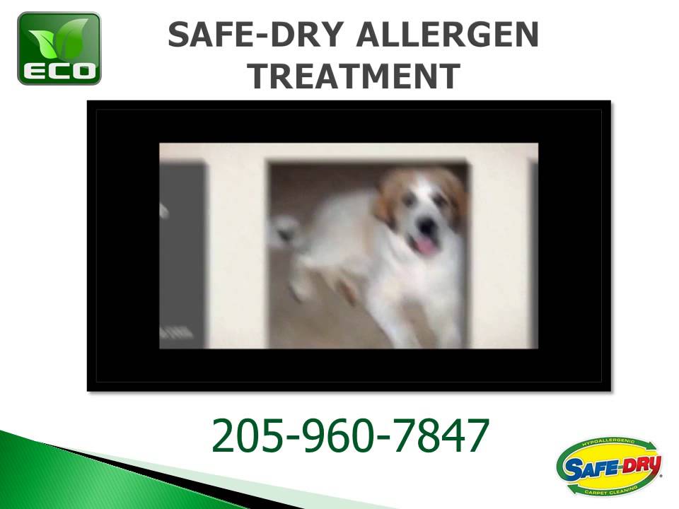 SafeDry Carpet Cleaning of Birmingham Indoor Allergy Education YouTube