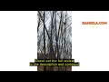 Review Bewinner VHF Airband Radio Receiver, Portable Aircraft Full Band Radio Recorder With AIR/FM/A