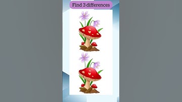 Find 3 Differences #71