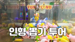 [너구리 패밀리 VLOG] 인형 뽑기 투어(in 안양 일번가)