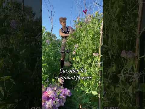 Grow the BEST