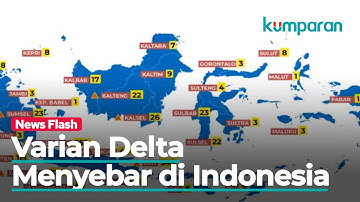 Berdasarkan Hasil Tracing, Varian Delta Telah Menyebar Hampir Merata di Indonesia