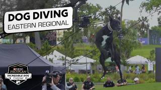 Incredible Dog Challenge 2026: Dog Diving Eastern Regional | NBC Sports