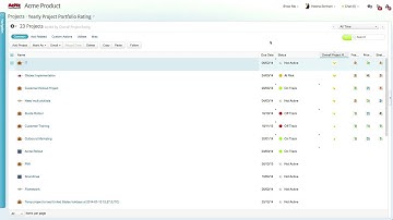 Clarizen V6 Video Tutorial - Custom Fields
