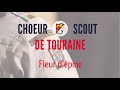 Fleur dpine  choeur scout de touraine