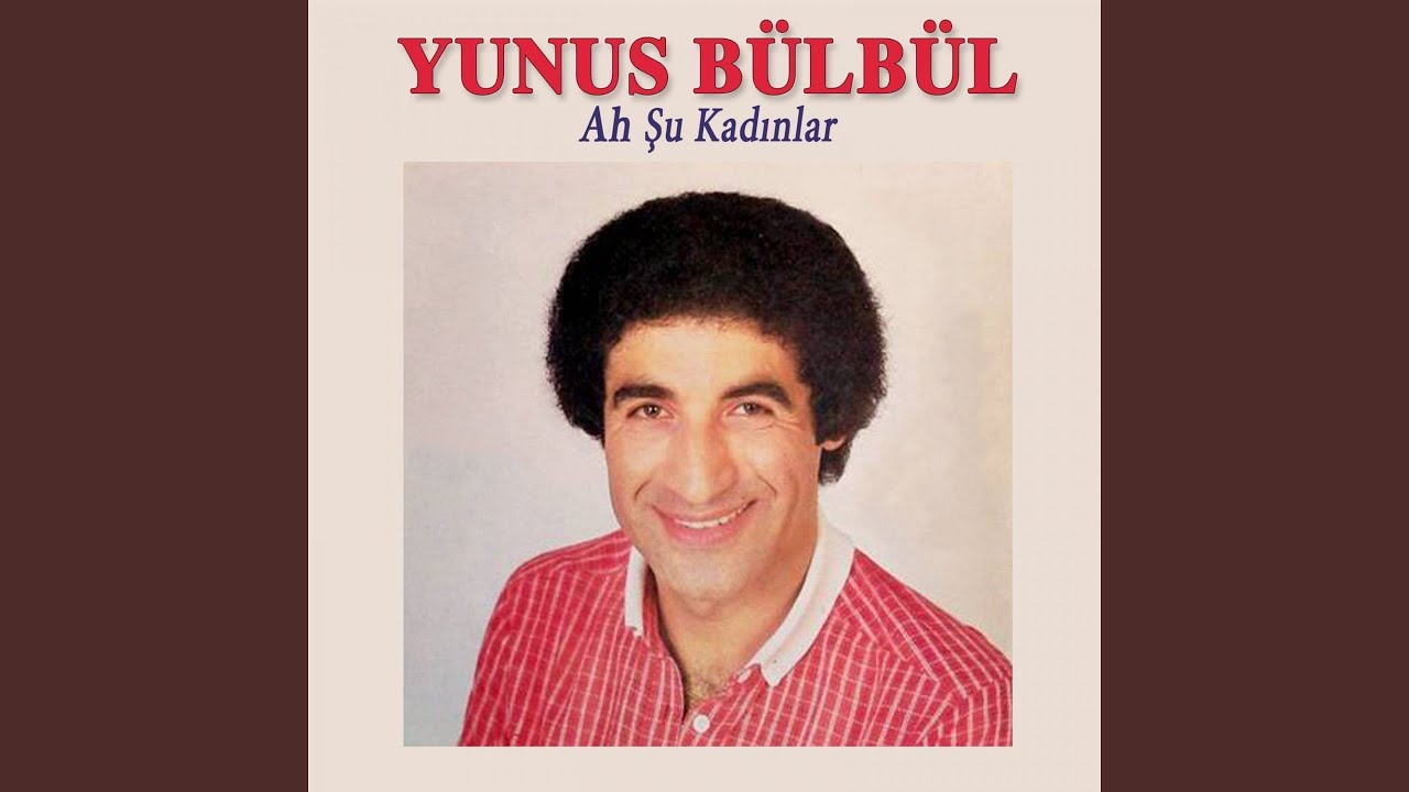 Ah Şu Kadınlar
