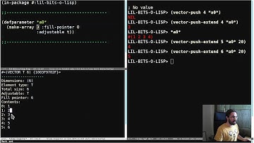Little Bits of Lisp - Adjustable arrays with fill pointers