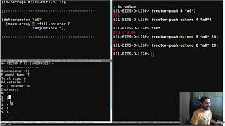 Little Bits of Lisp - Adjustable arrays with fill pointers
