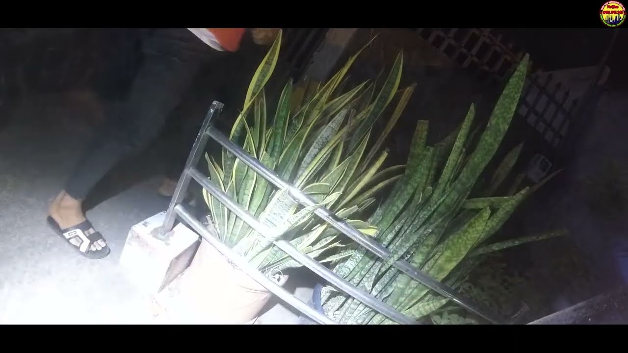 PCTP | Giải Tán Nhóm Thanh Niên Cầm H.à.ng  Giải Quyết Mâu Thuẩn