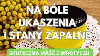 Na bóle, ukąszenia i stany zapalne. Skuteczna maść z wrotyczu. 