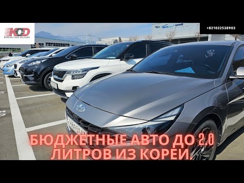 Видео: Автомобили из Кореи до 2.0 литра. Kia Sportage. Kia Seltos. Hyundai Venue. Kia K3 GT. Hyundai Avante