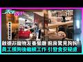 東張西望|啟德非寵物友善餐廳,廚房驚見狗狗!員工摸狗後繼續工作,引發食安疑慮|TVBUSA|民生|容許狗隻進入|人寵共融|衛生欠佳|西班牙餐廳|報東張