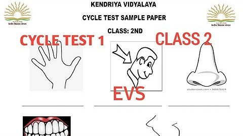 kv/kvs/kendriya vidyalaya cycle test 1/class 2/2nd /EVs/solution/sample paper/looking around #kv