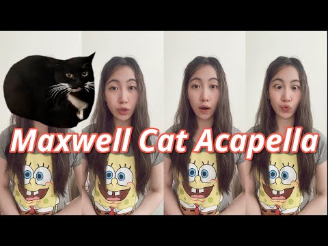 Maxwell Cat Song (acapella)