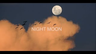 Wonderful Orchestra Band - NIGHT MOON -