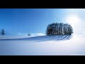 ♪白い恋人たち/Piano version