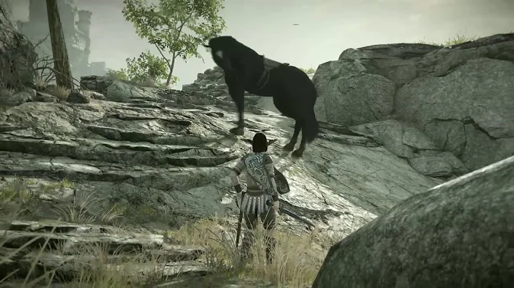 SHADOW OF THE COLOSSUS_2018062...