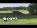 Giant Gator Confirmed Real by Golf Manager Giant Gator Confirmed Real by Golf Manager