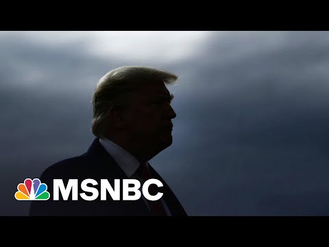 Harry Reid: GOP Is Party Of Goofballs Under Trump’s Influence | The 11th Hour | MSNBC