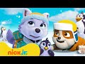 Patrulha Canina | Resgates de inverno na neve com PAW Patrol Rubble &amp; Everest! | 1 hora | Nick Jr.