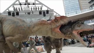 Dino A live in Kawasaki 15:00 times
