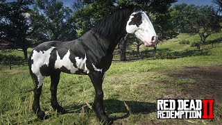 OS MAIS BELOS CAVALOS DO RED DEAD 2  -  A Fazenda de John Marston