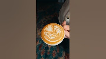 Advanced latte art Rosetta 🌿