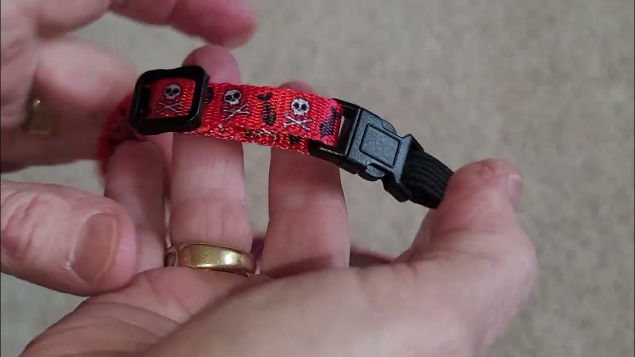 Collar Direct BreakAway Cat Collar With Elastic YouTube