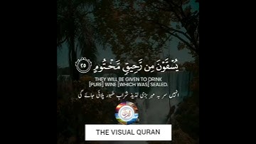 Surah Al Mutaffifin | Ayat 22-27 | Tariq Mohammad | سورة المطففين | طارق محمد | THE VISUAL QURAN
