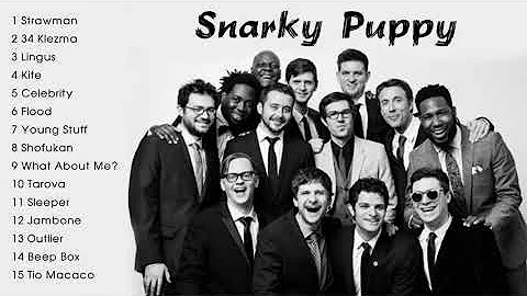 The Best of Snarky Puppy - Snarky Puppy Greatest Hits Full Album