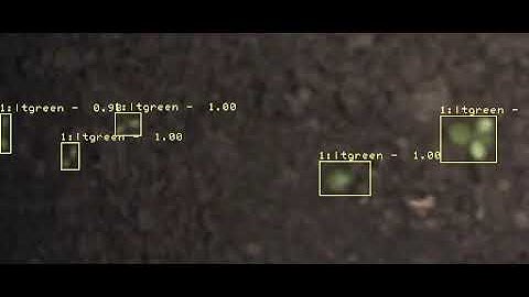 Small lettuce detection using Deep Learning