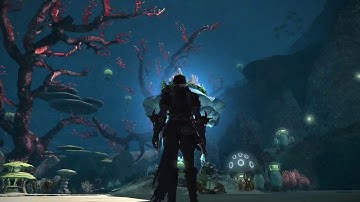 FFXIV - The Ruby Sea Tour (Underwater Wonders)