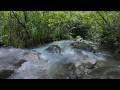 River Sounds for Sleeping | 12 Hours Immersive River Ambience for Deep Sleep [No Talking]