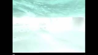 TVC Sampoerna A Mild Menthol Iglo Polar White Bear 2002 30s