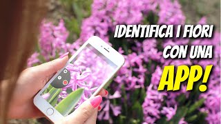 La migliore APP per identificare subito piante, fiori e frutti! - PlantNet screenshot 4